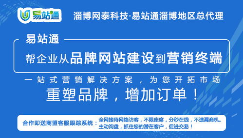 淄博專業的全網推廣軟件 淄川全網推廣軟件 淄博網泰科技